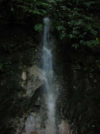 Yangminshan Foto 