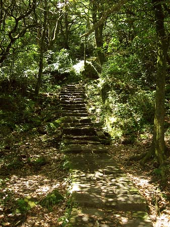 Fotos Yangminshan