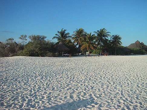 Foto Der weiße Sandstrand der Malediven
