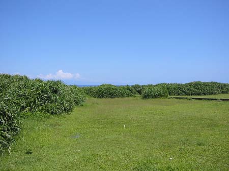 Green Island Fotos