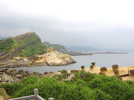 Fotos North East Coast | 